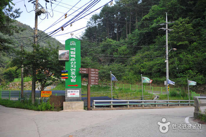 Bosque Recreativo Nacional del Monte Baegunsan en Wonju (국립 백운산자연휴양림(원주))