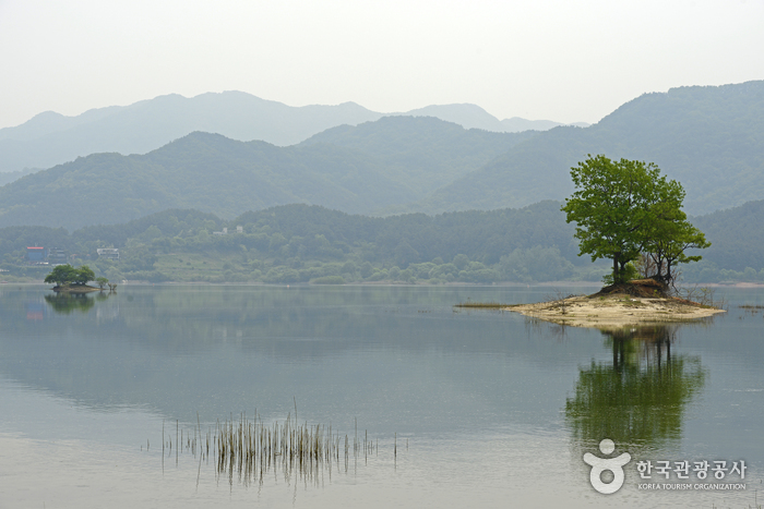 Lago Daecheongho (대청호)