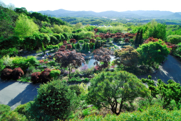Jardín Botánico Hantaek (한택식물원)