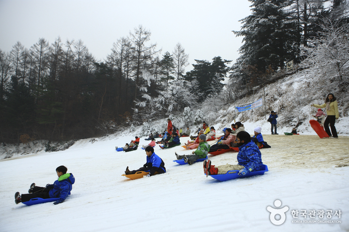 Pista para Trineos de Hanhwa Resort en Yangpyeong (양평한화리조트 눈썰매장)