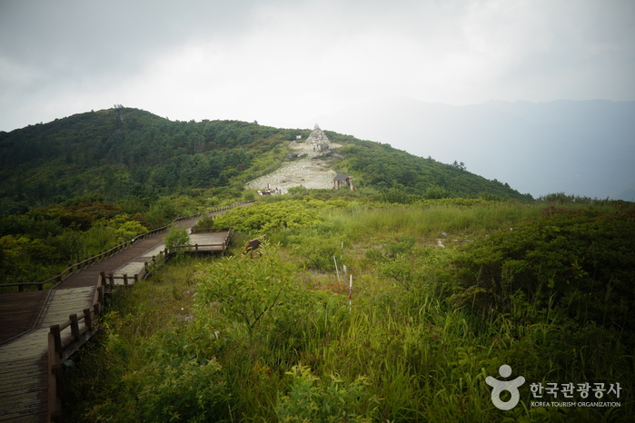 Parque Nacional del Monte Jirisan (Nogodan) (지리산국립공원(지리산 노고단))