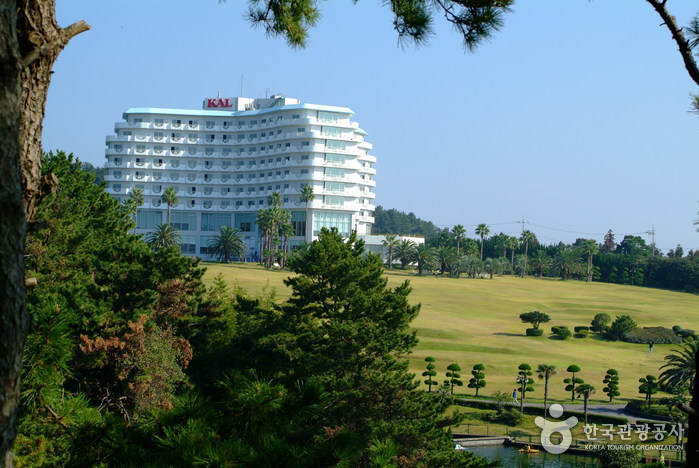 KAL Hotel Seogwipo (서귀포 KAL 호텔) KAL Hotel Seogwipo (서귀포 KAL 호텔)