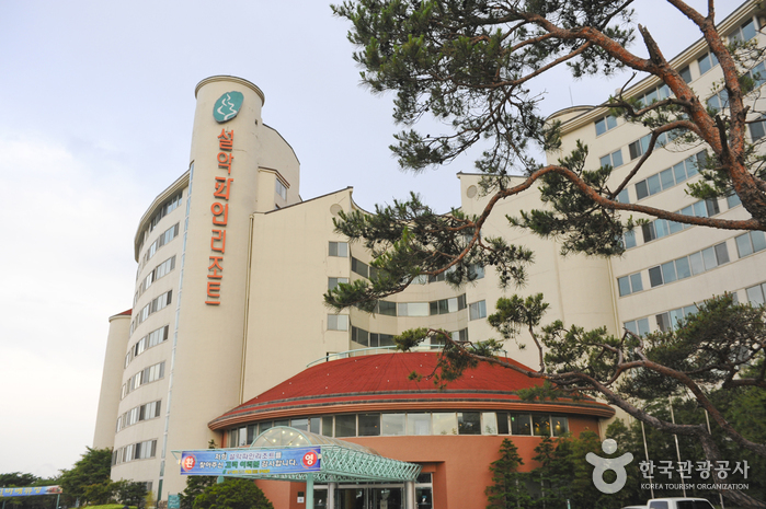 Seorak Pine Resort (설악파인리조트) Seorak Pine Resort (설악파인리조트)