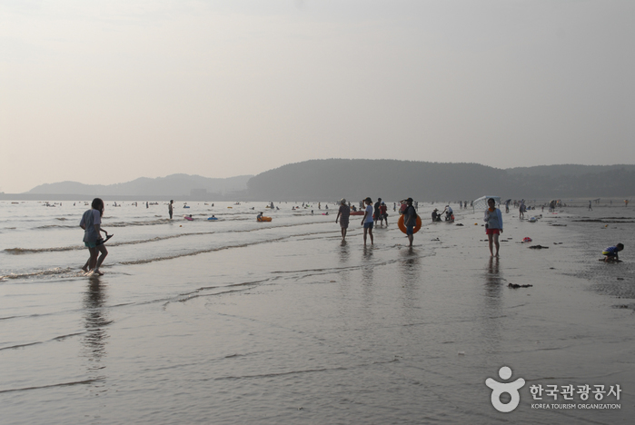 Playa Mongsanpo (몽산포해수욕장)