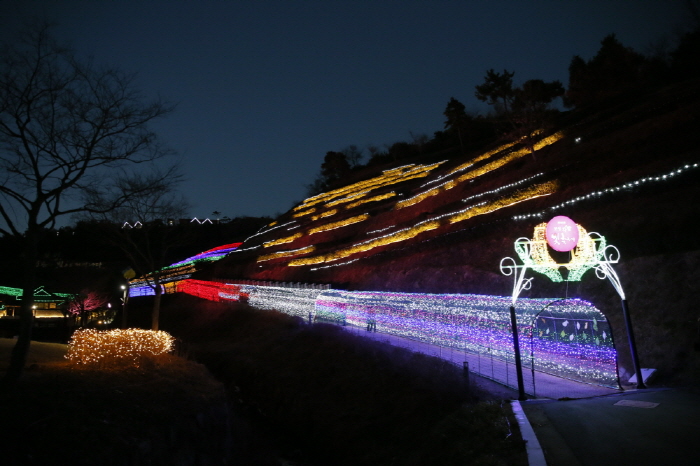 Festival de las Luces en el Campo de Té de Boseong (보성차밭 빛축제)
