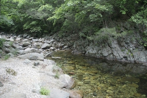 Bosque Recreativo Nacional de Yongdae (국립 용대자연휴양림)
