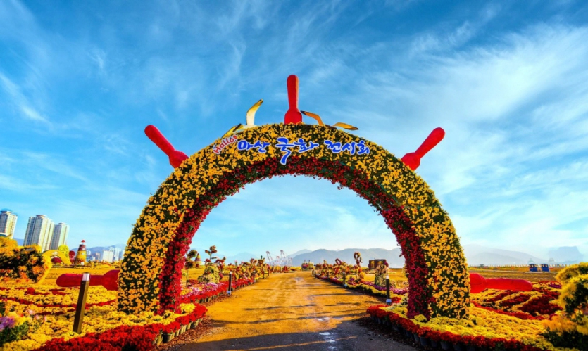 Festival de Crisantemos de Masan (마산국화축제)